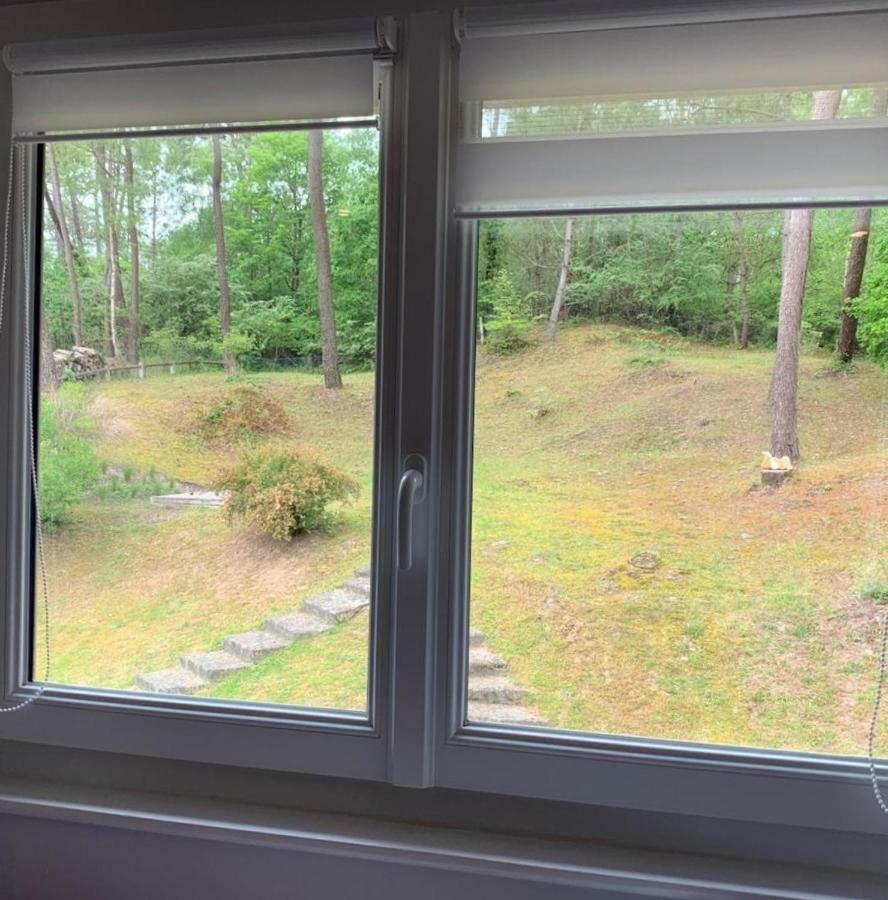 King Room Garden View