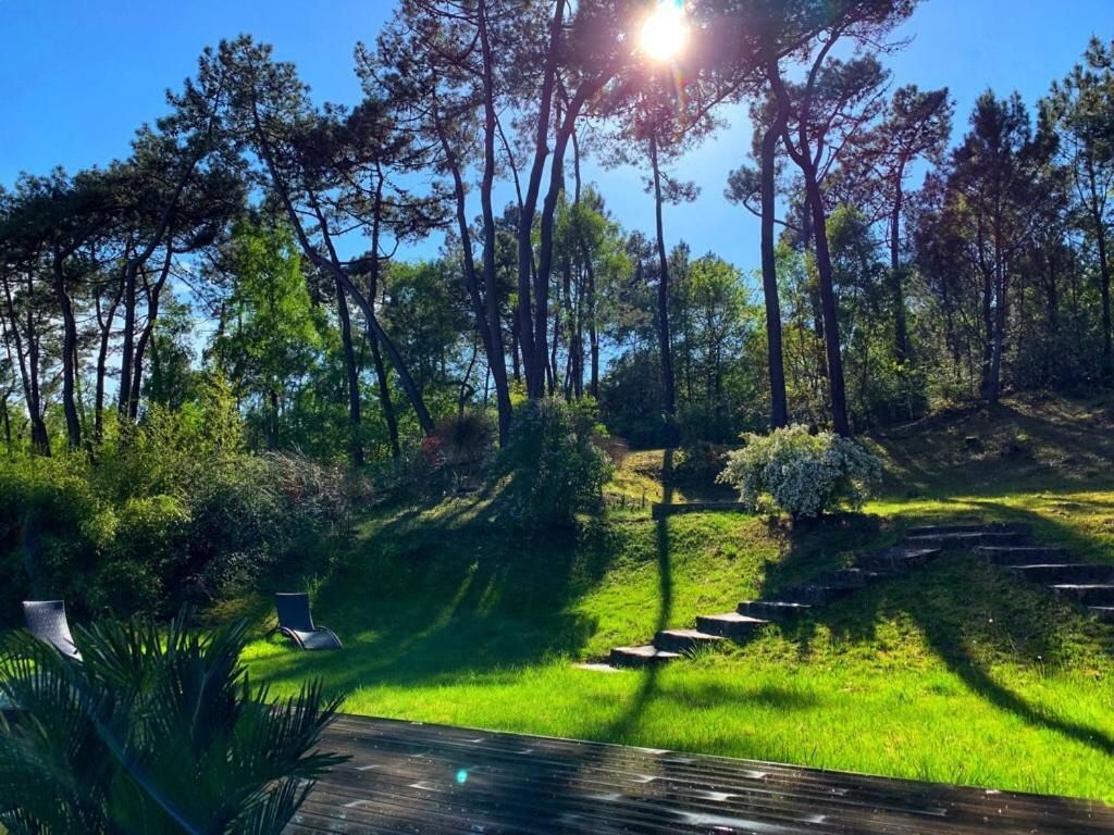 King Room Garden View